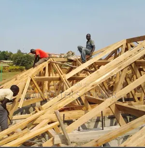 Experts in Roofing Houses