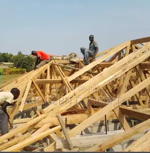Experts in Roofing Houses