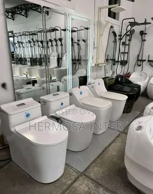 Shower and Toilet Seat