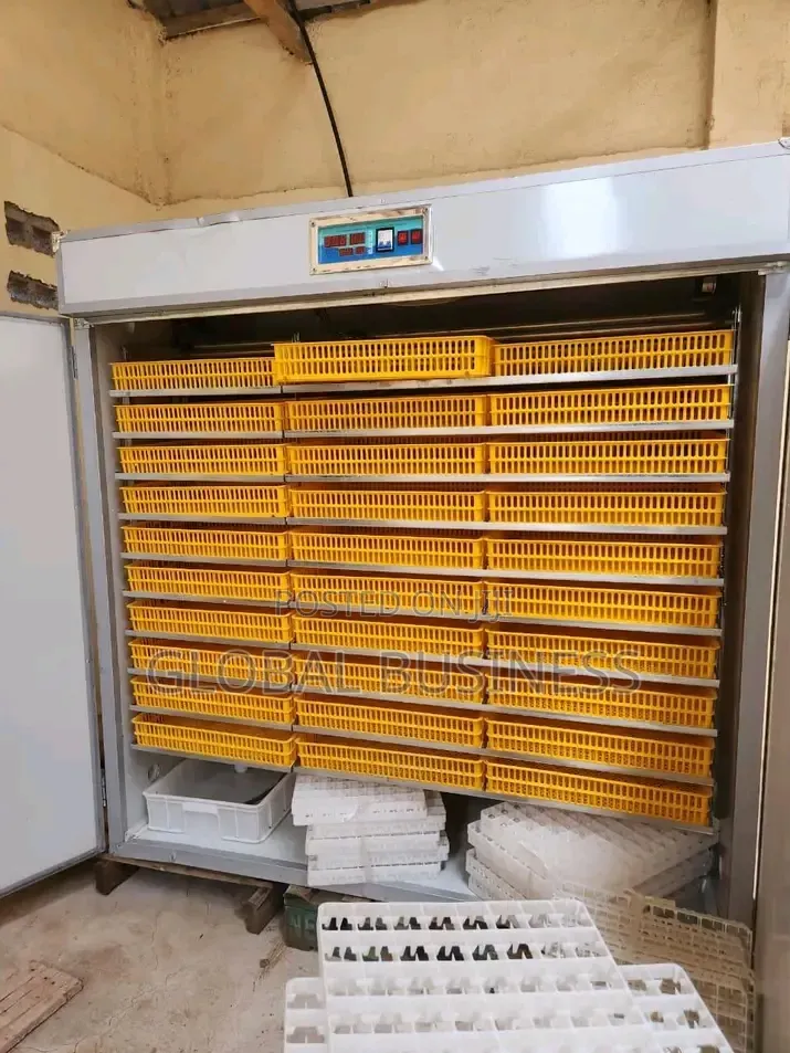 5280 Automatic Imported Egg Incubator Powerful