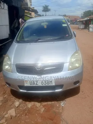 Toyota Corolla Spacio 2002 Gray