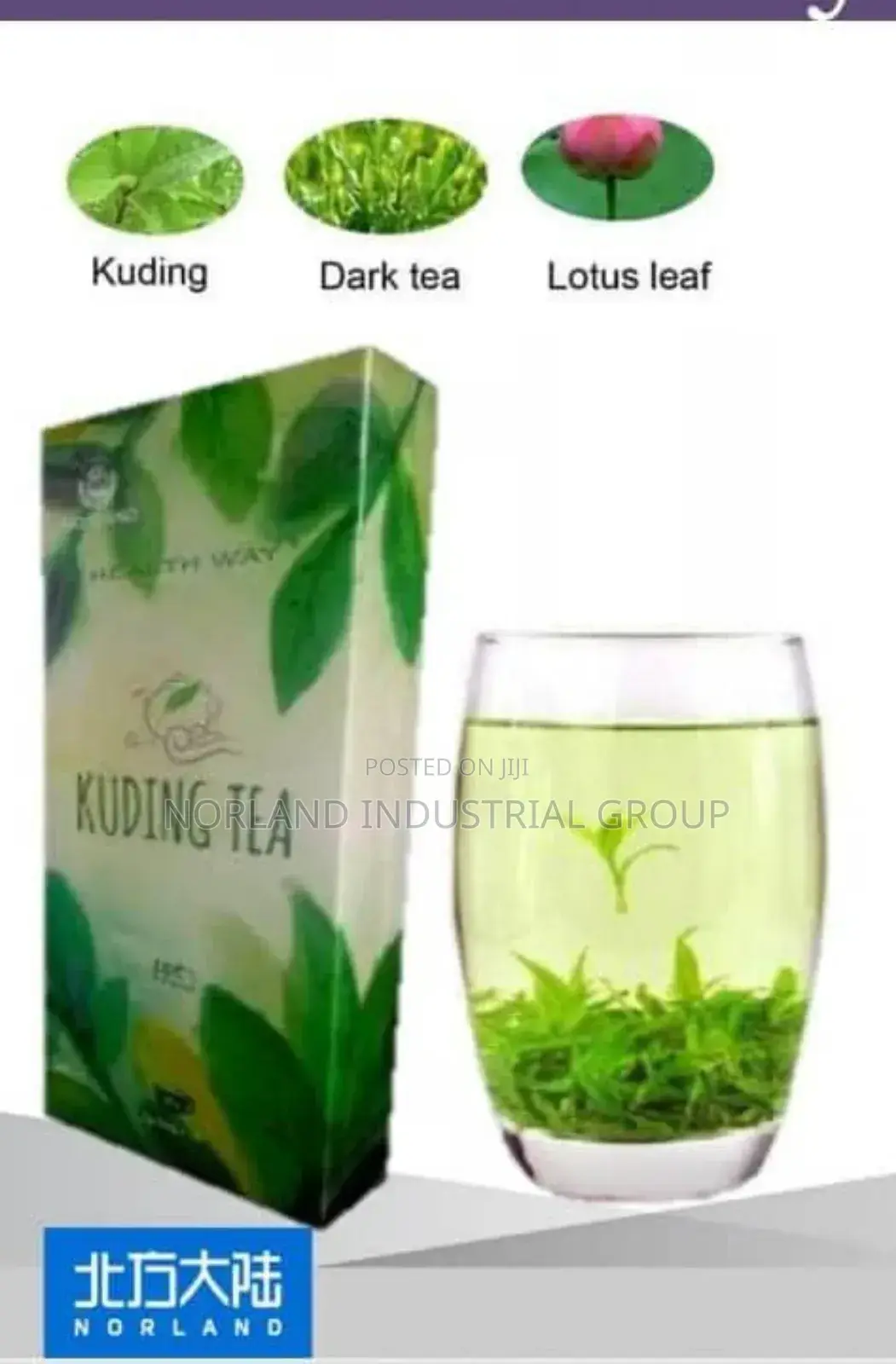 Kuding Tea