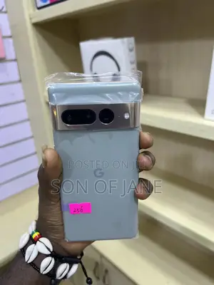 Google Pixel 7 Pro 256 GB Gray