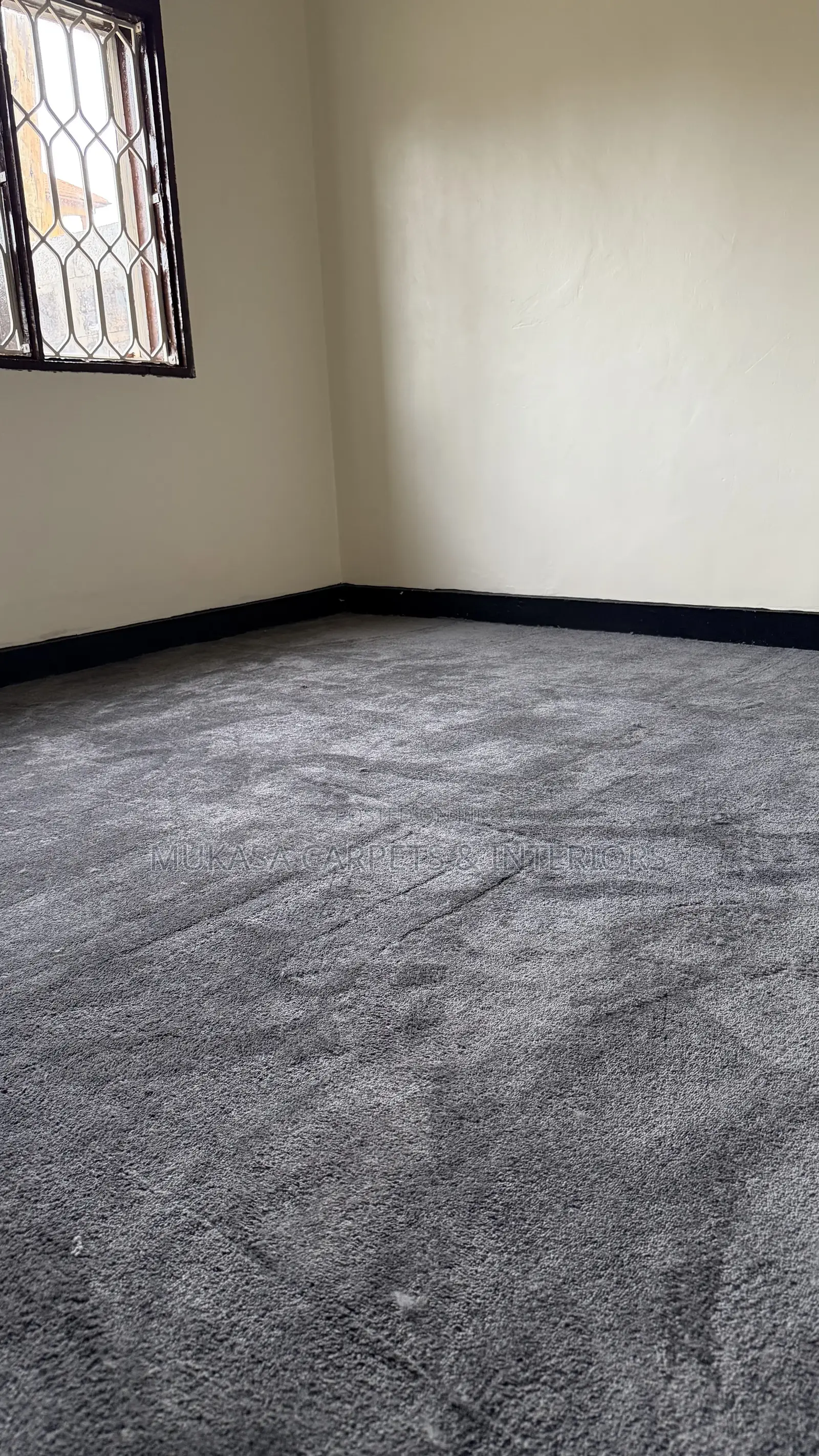 1. Original Galaxy Grey Soft Carpet – Luxury Feel for Every Room