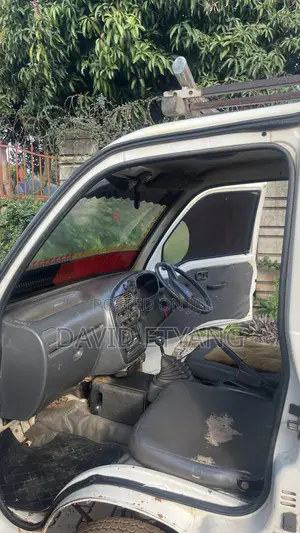 Mini Truck