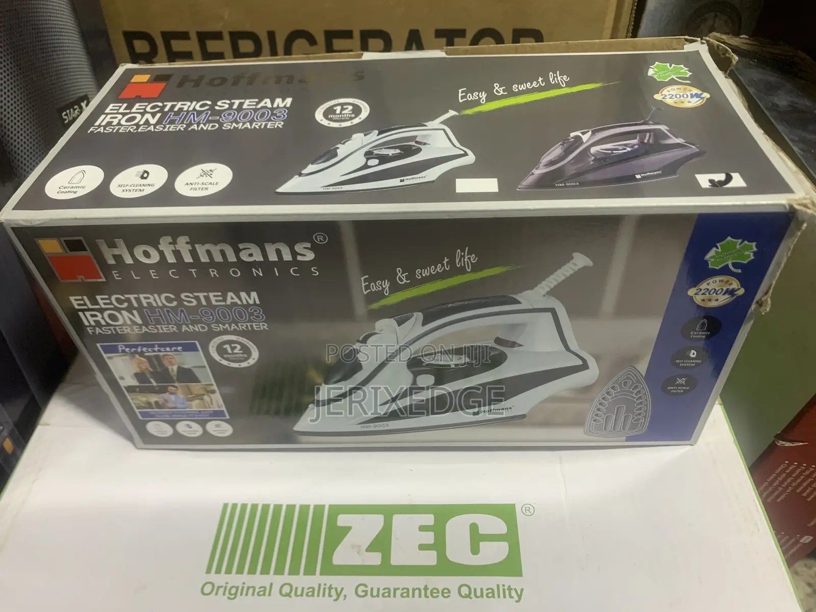 Electric Steam Iron
