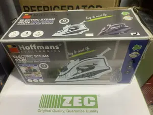 Electric Steam Iron