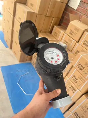 2" (Dn50) Threaded Water Meter LXSG Pn16 | in Stock