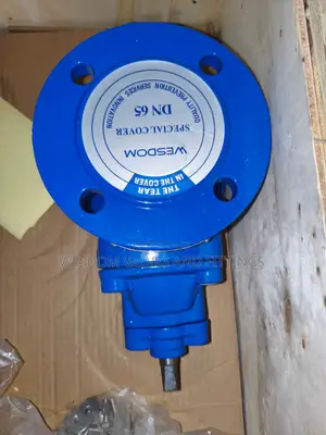 21⁄2" (Dn65) Gate Valve Pn16 | in Stock