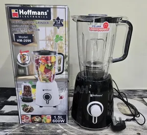 Hoffmans Hm-2096 2-in-1 Blender