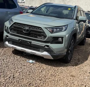 Toyota RAV4 Adventure 2019 Gray