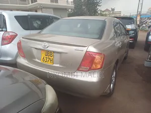 Toyota Axio 2009 Gold