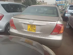 Toyota Axio 2009 Gold