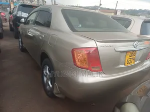 Toyota Axio 2009 Gold