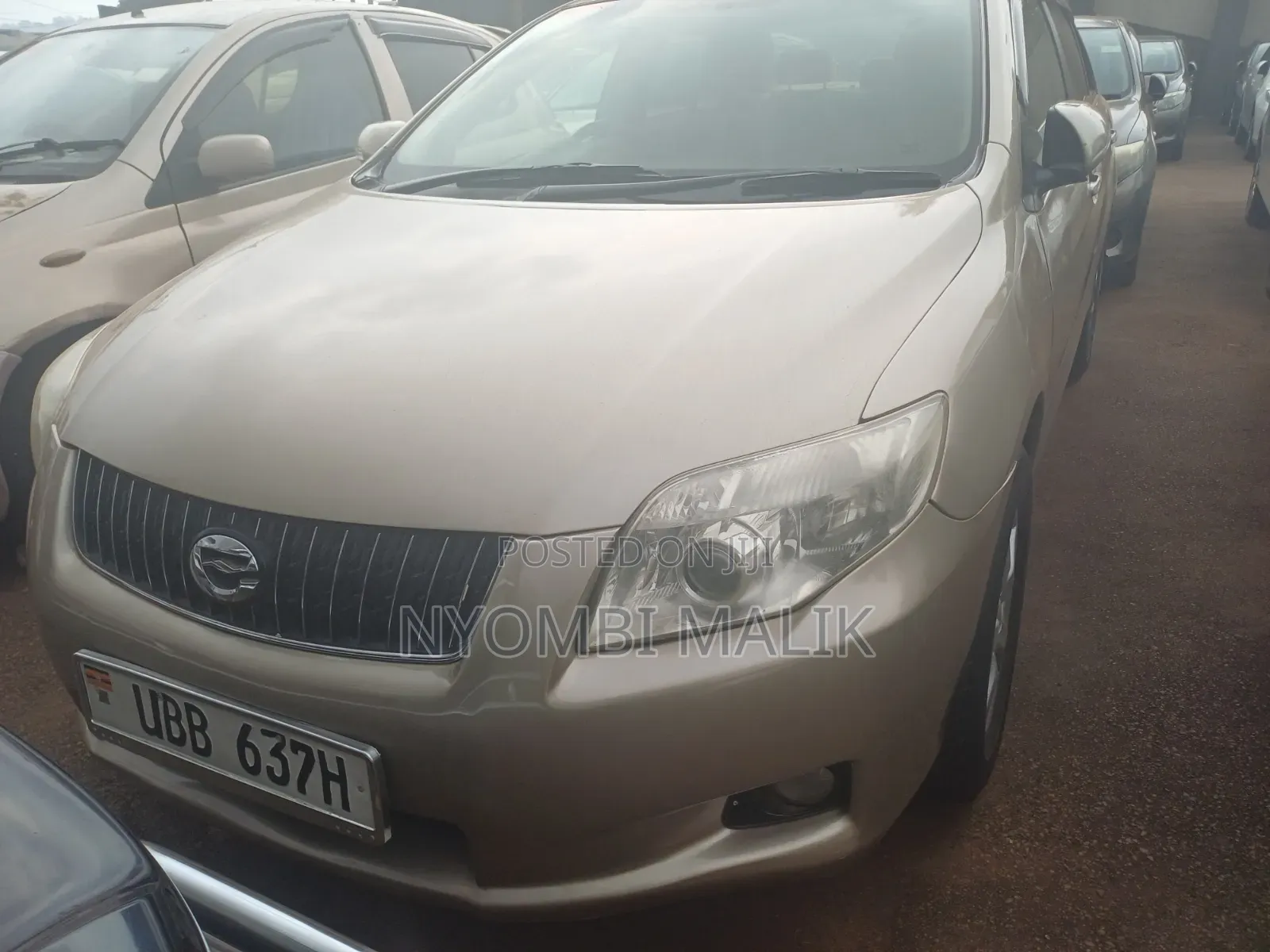 Toyota Axio 2009 Gold