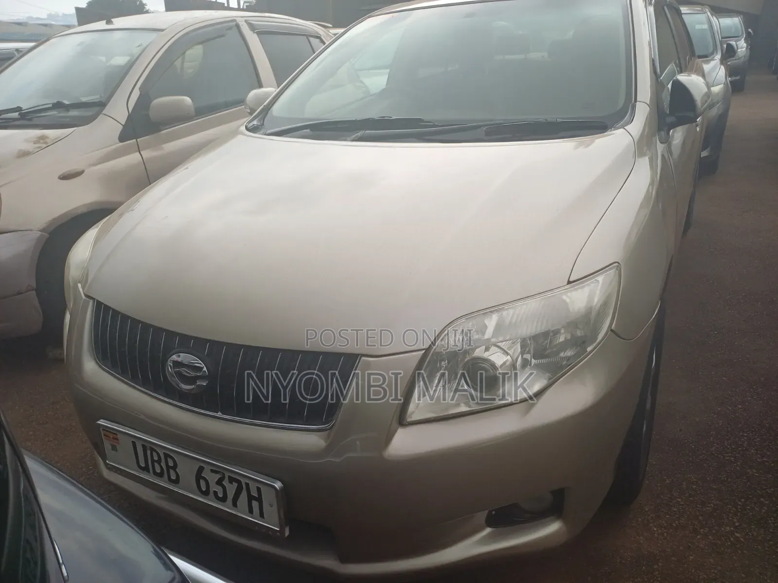 Toyota Axio 2009 Gold