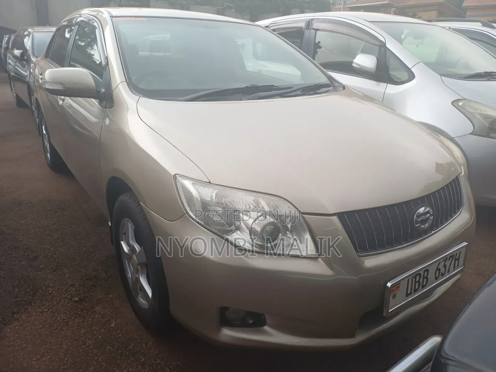 Toyota Axio 2009 Gold