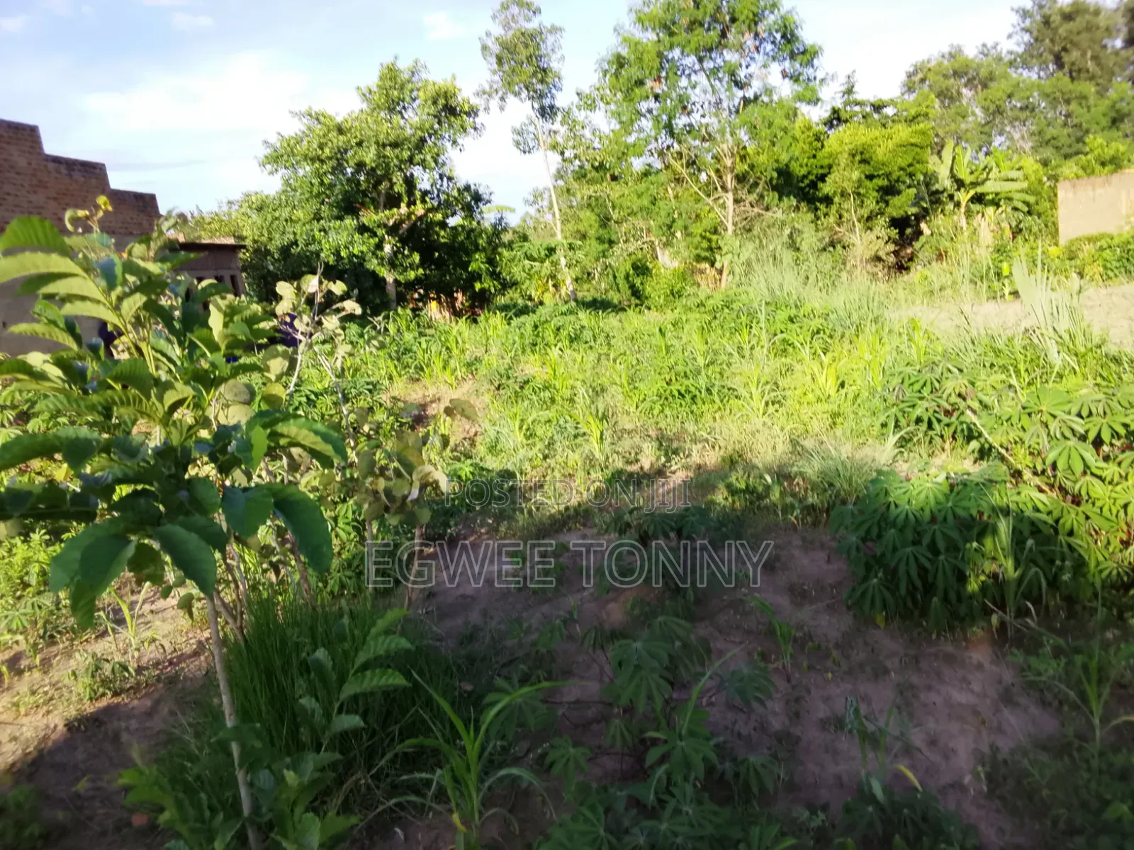 Land Including Home on Quick Sale in Lira City West