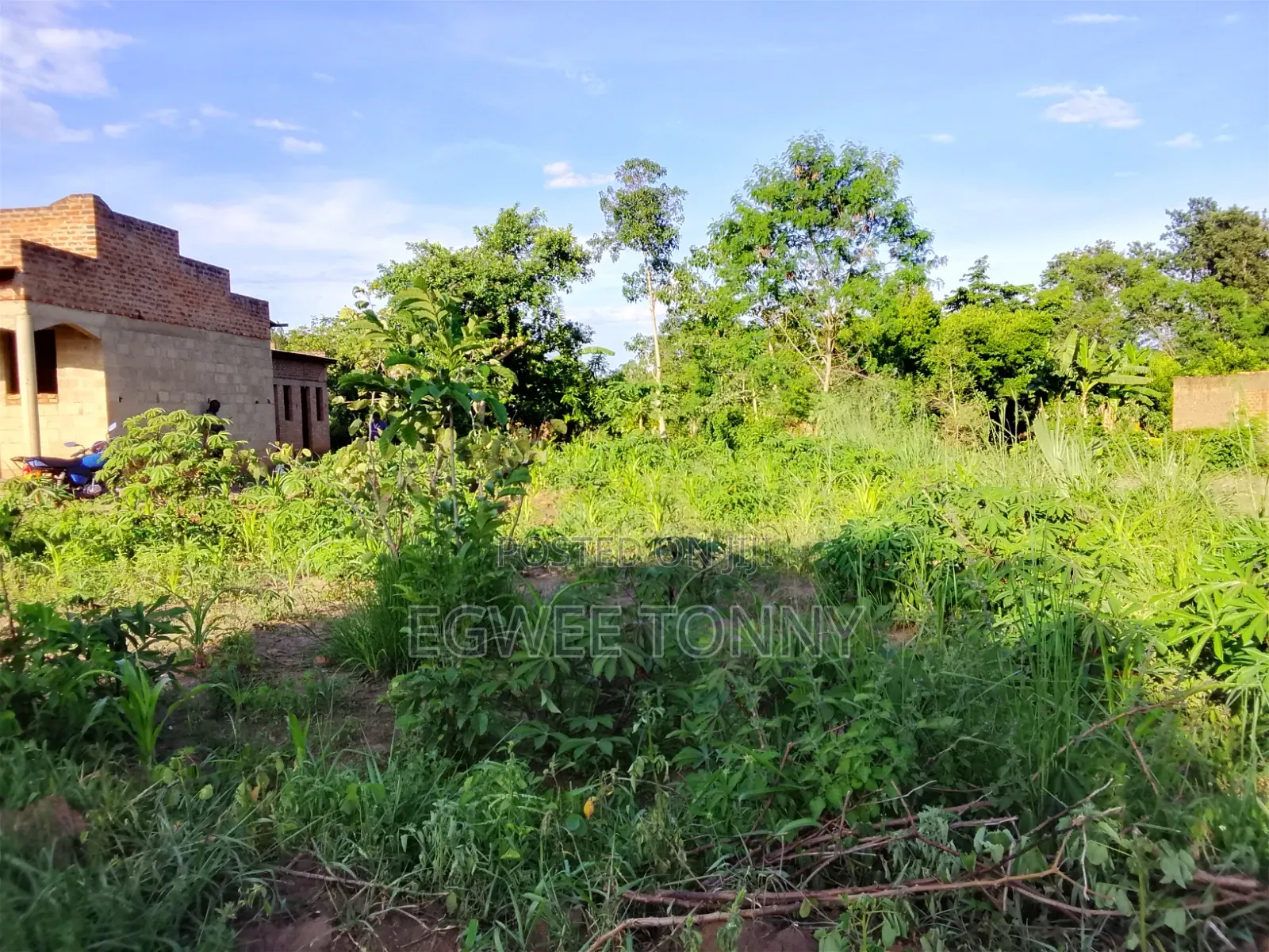 Land Including Home on Quick Sale in Lira City West