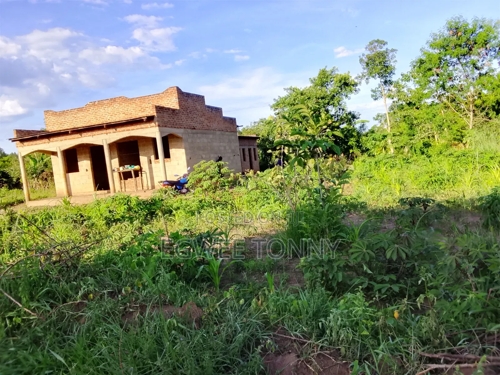Land Including Home on Quick Sale in Lira City West