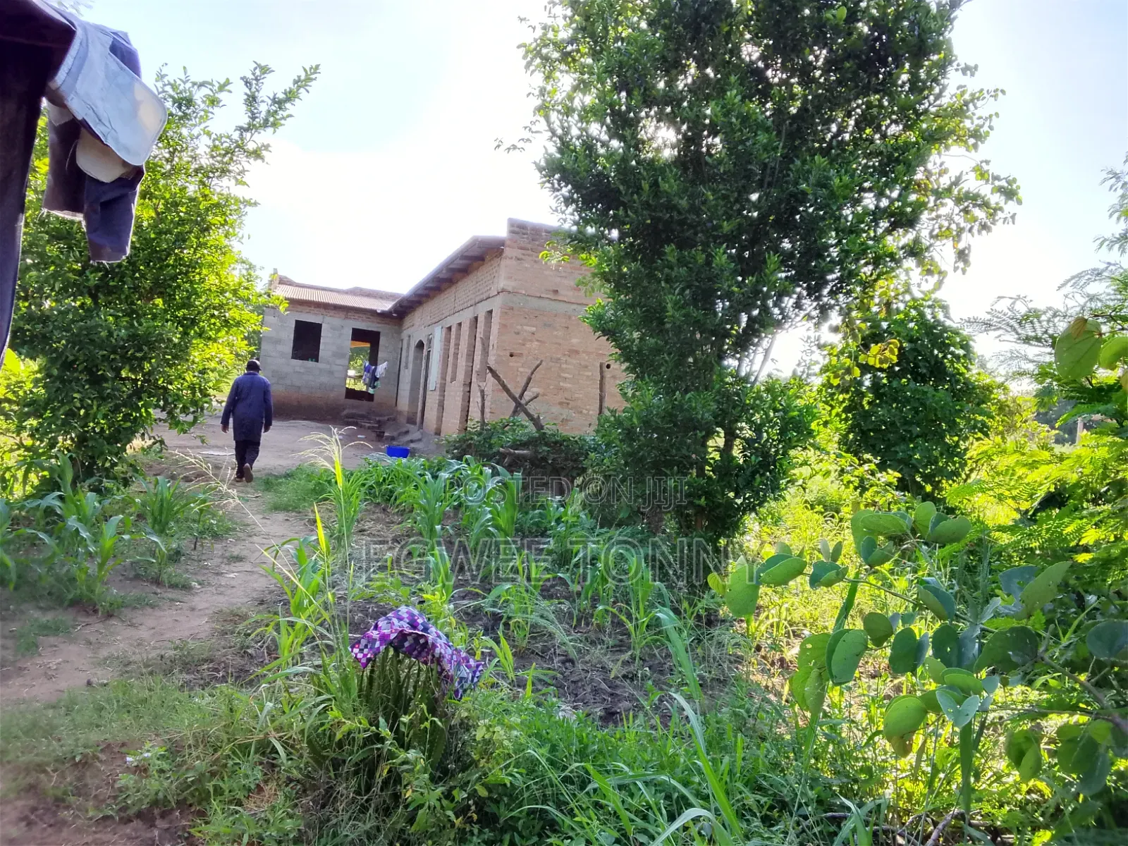 Land Including Home on Quick Sale in Lira City West