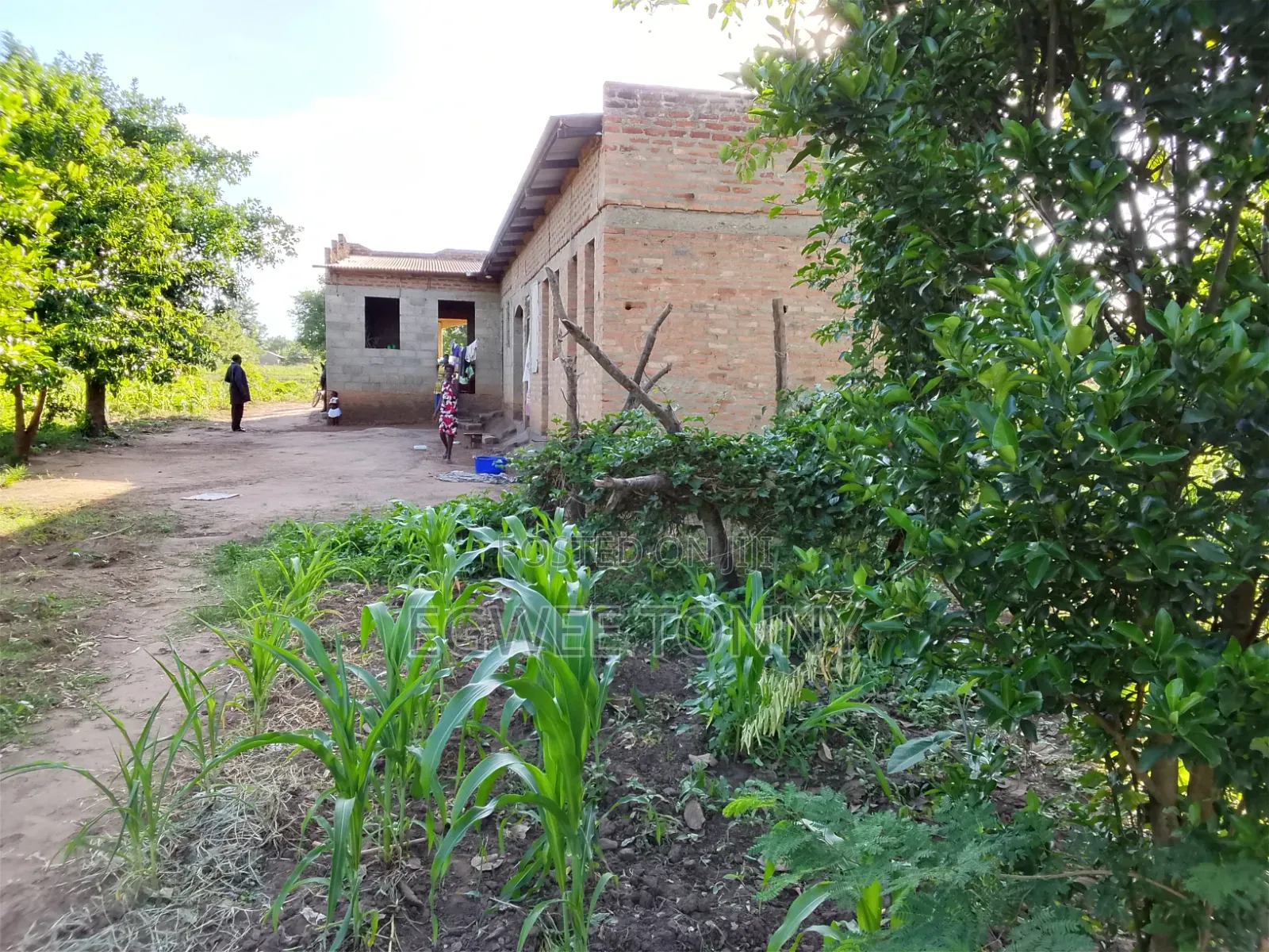 Land Including Home on Quick Sale in Lira City West