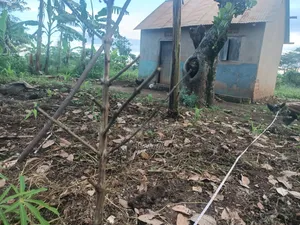 Commercial Lot