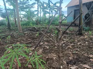 Commercial Lot