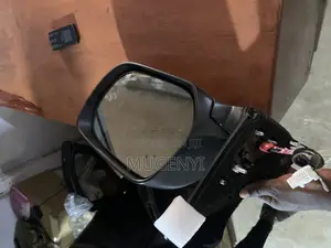 Side Mirror