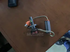 Head Light Bulbs/Fog Light