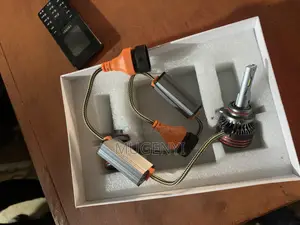 Head Light Bulbs/Fog Light