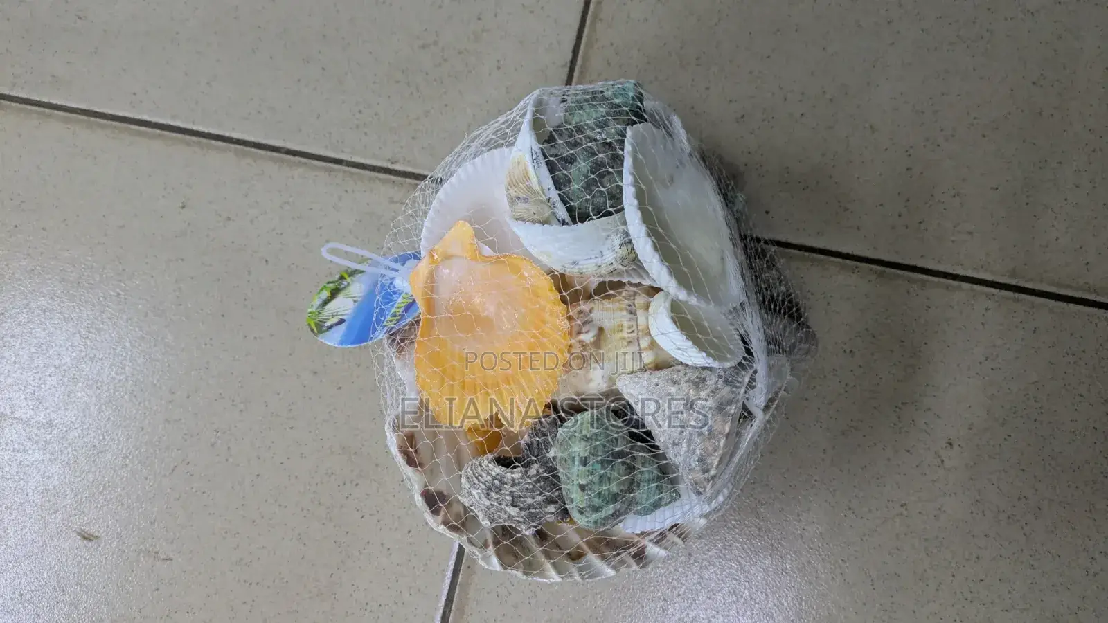 Sea Shell Decoration Set