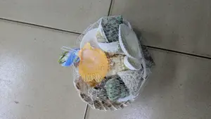 Sea Shell Decoration Set