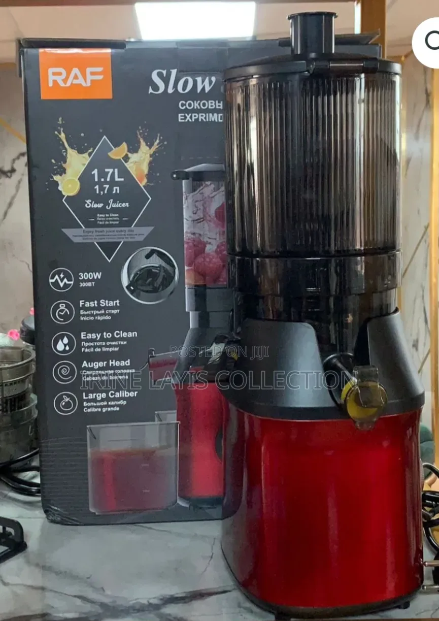 Raf Electric Slow Juicer.