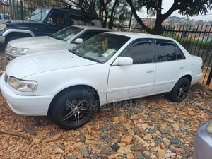 Toyota Corolla 2000 Pearl