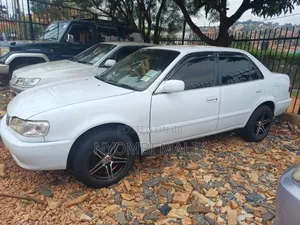 Toyota Corolla 2000 Pearl