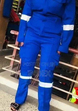 Blue Reflected Overalls