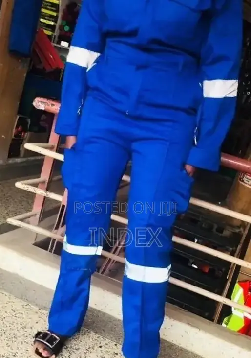 Blue Reflected Overalls