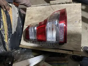 Back Light