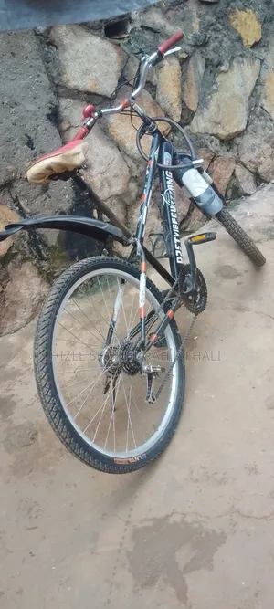 Bicycle Sport
