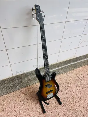 Powerful Sound Electric 5strings Bass Guitar