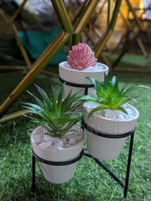 3 Ceramic Flower Pots