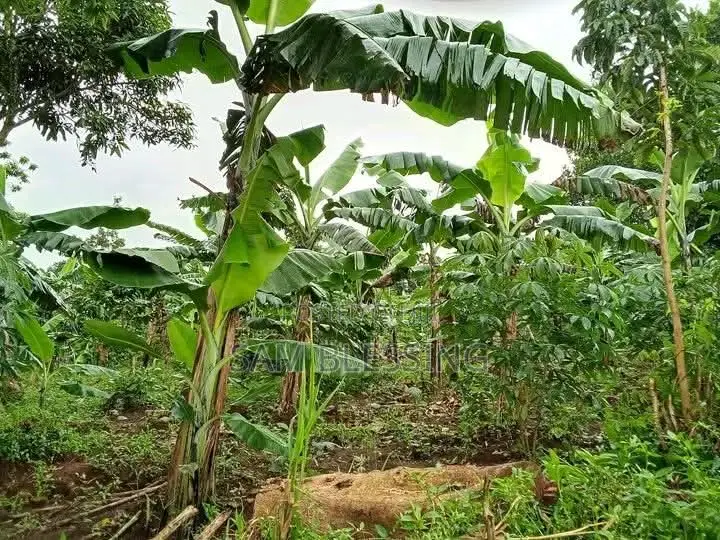 4 Plots for Sale in Matuuga Kalasa at 5m Per Plot