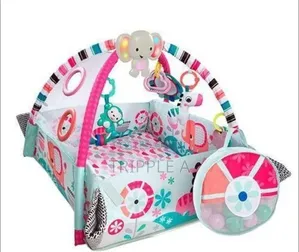5 In 1 Baby Activity Gym And Ball Pit