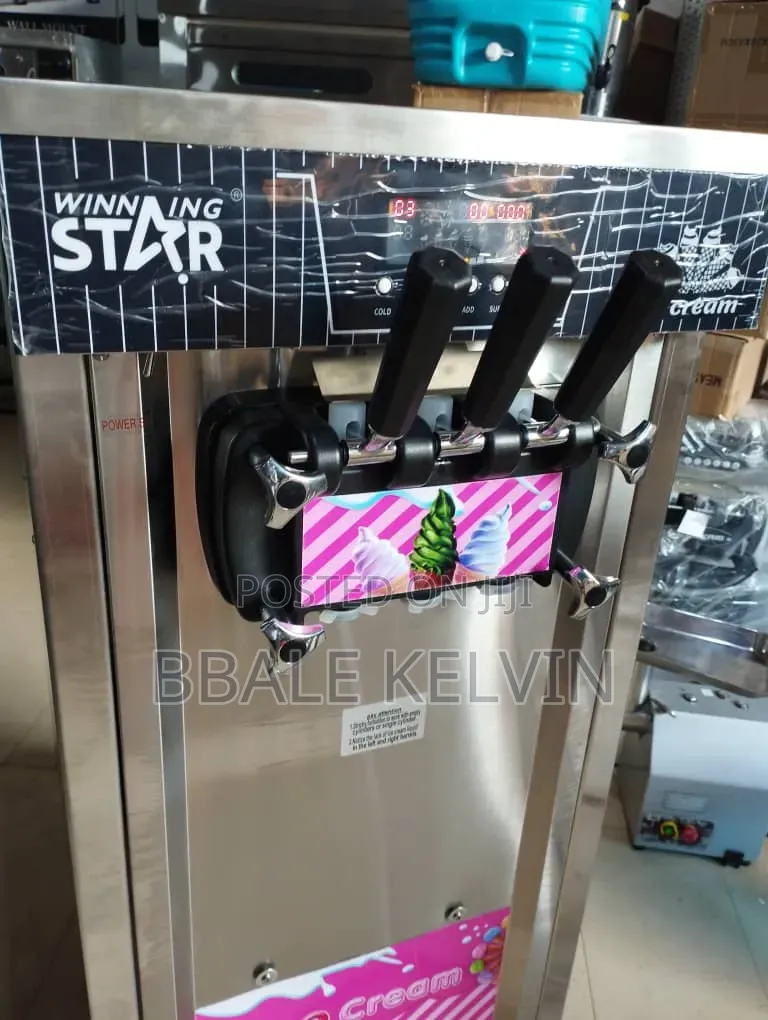 Winningstar Commercial Ice Cream Machine