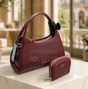 Designer’S Bags for Ladies