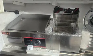 Electric Griddle With Deef Fryer