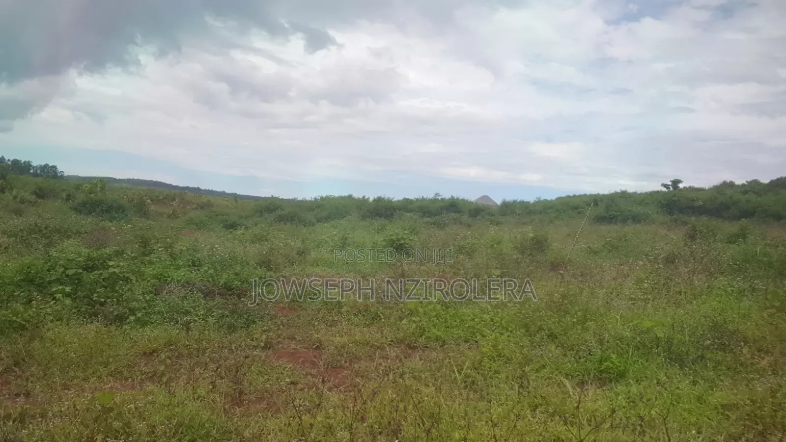 Plots on Quick Sale in Mpigi