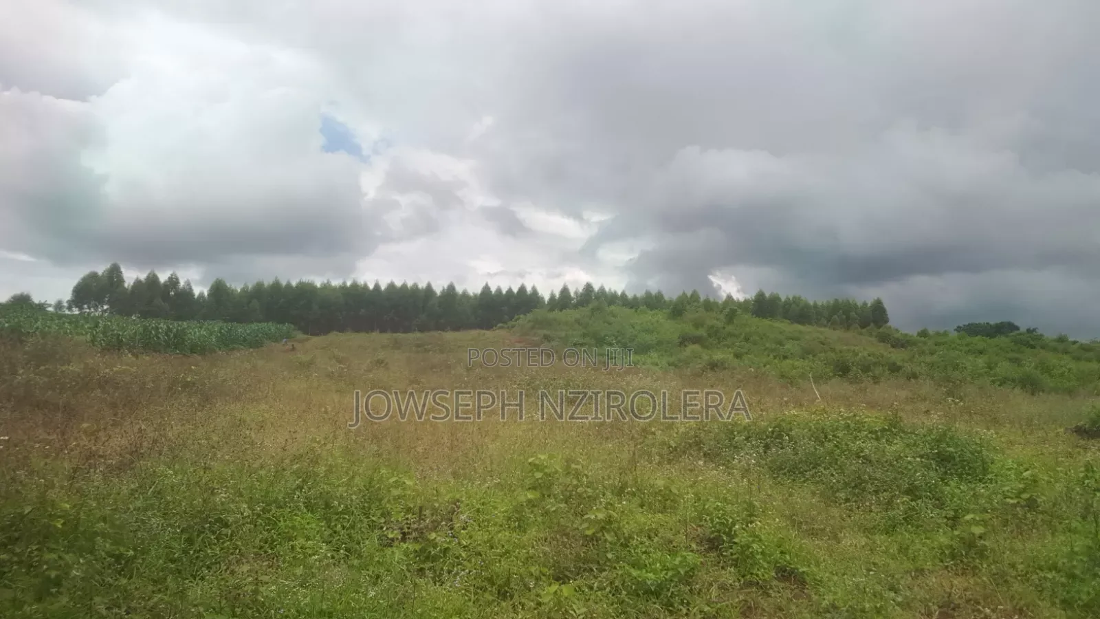 Plots on Quick Sale in Mpigi