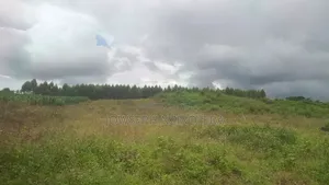 Plots on Quick Sale in Mpigi